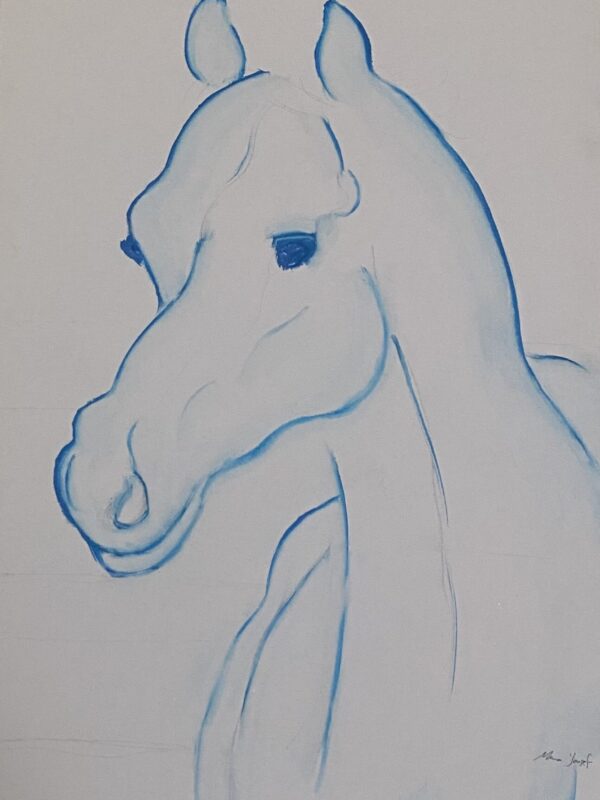 Animal Abstracts